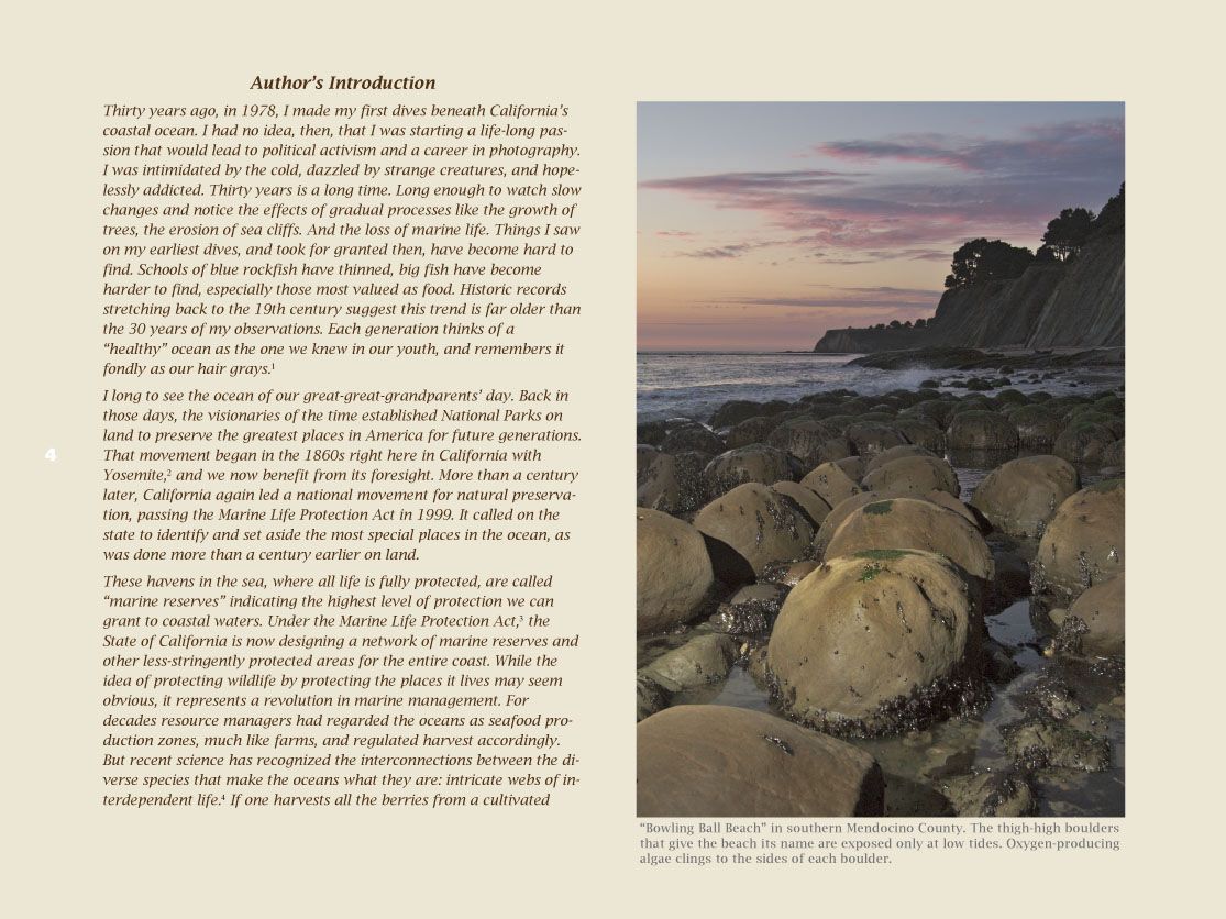 Introduction, Page 1